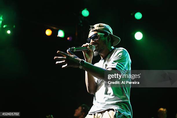 Rapper Del the Funky Homosapien of the Hip-Hop supergroup Deltron 3030 performs during 2014 Celebrate Brooklyn! at the Prospect Park Bandshell on...