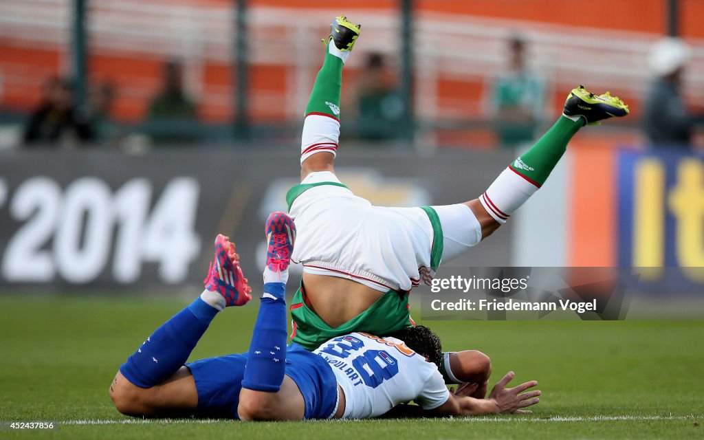 Palmeiras v Cruzeiro - Series A 2014