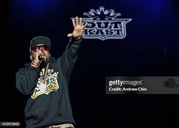 Antwan 'Big Boi' Patton of Outkast performs on stage during Day 3 of Pemberton Music and Arts Festival on July 20, 2014 in Pemberton, Canada.