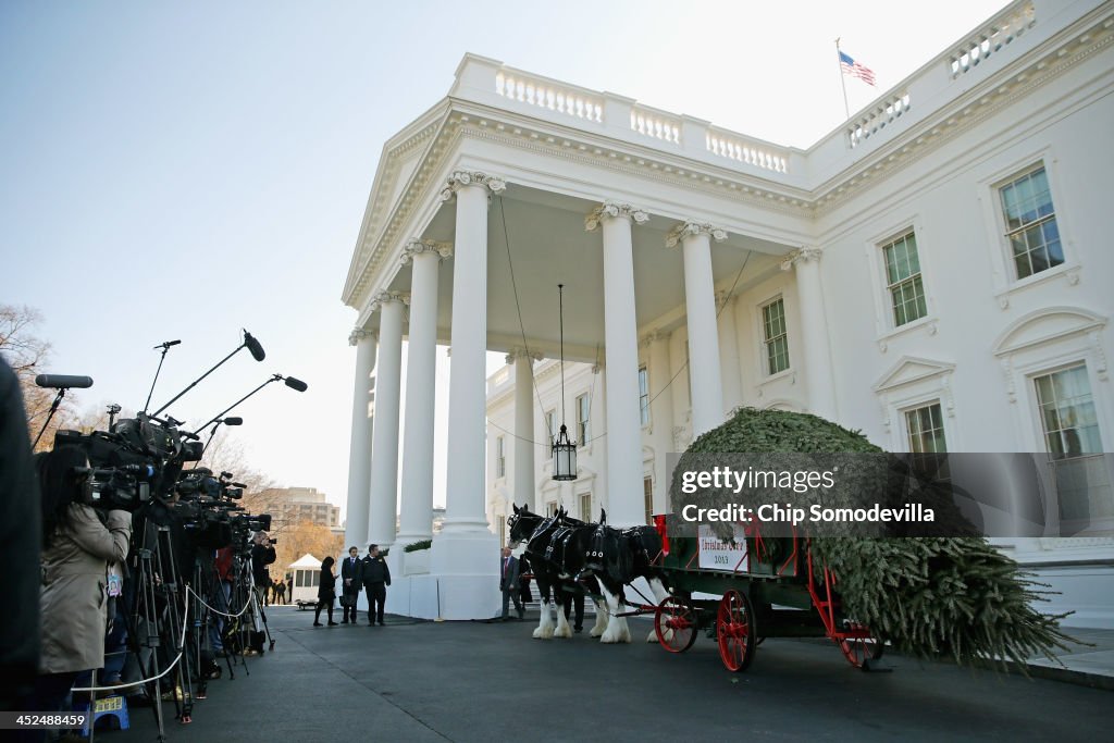 Michelle Obama Receives Official White House Christmas Tree