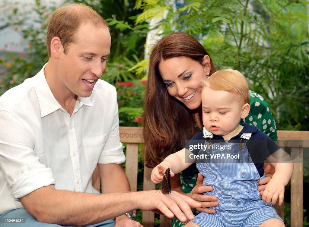 Prince George Of Cambridge First Birthday