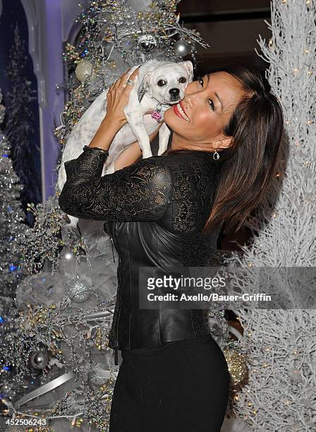 Personality Carrie Ann Inaba attends The Beverly Center Kicks Off "Holiday Pet Portraits With Santa!" at The Beverly Center on November 14, 2013 in...