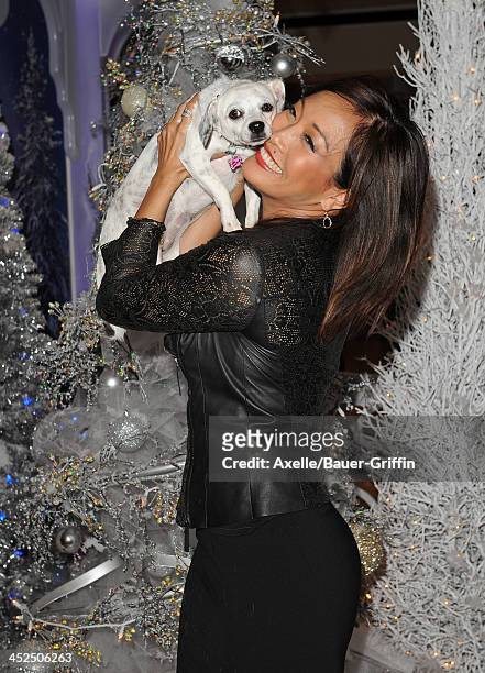 Personality Carrie Ann Inaba attends The Beverly Center Kicks Off "Holiday Pet Portraits With Santa!" at The Beverly Center on November 14, 2013 in...