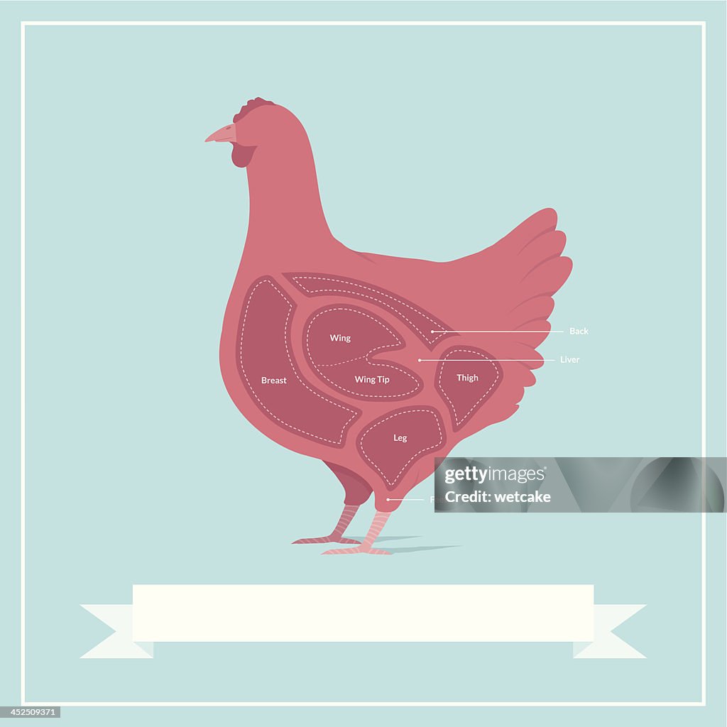 Cuts of Chicken