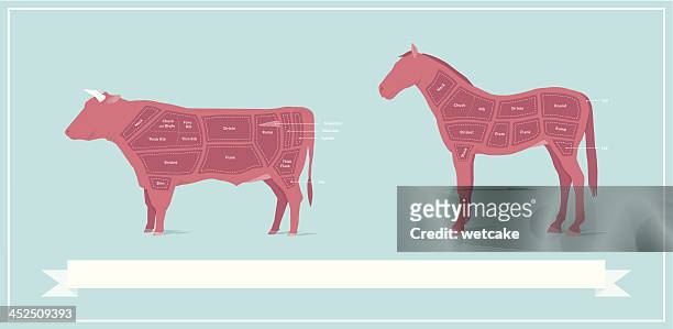 horse fleisch & rindfleisch vergleich diagramm - gliedmaßen körperteile stock-grafiken, -clipart, -cartoons und -symbole