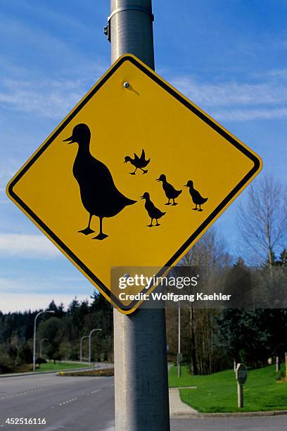 Washington, Bellevue, Duck Crossing Sign.