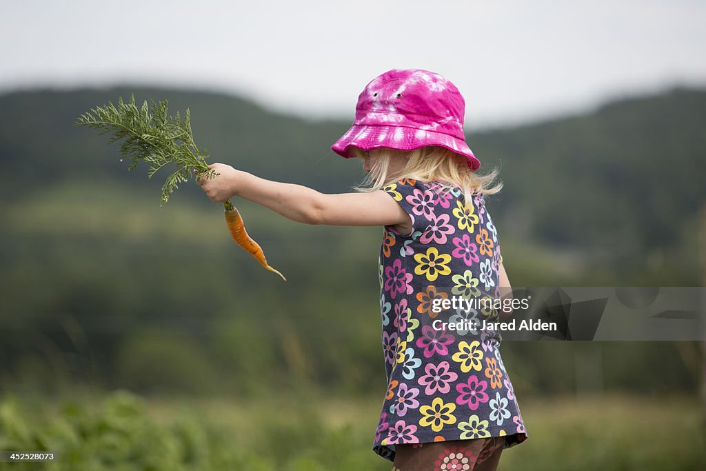 Young girl holding a freshly picked carrot