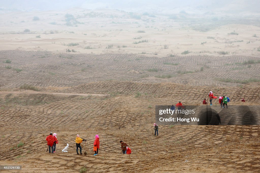 Chinese People Try To Prevent The Spread Of The Maowusu Desert