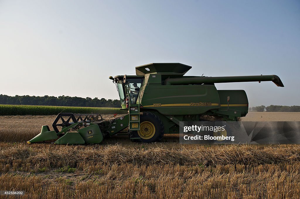 Wheat Harvest As Price Falls 8 Percent Over Past Year