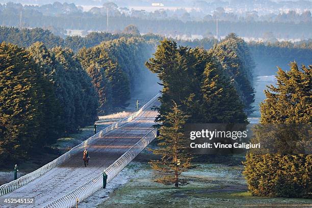 Darren Weir trained galloper makes his way up the 1400 metre straight training track in cold and frosty conditions during Ballarat trackwork at...