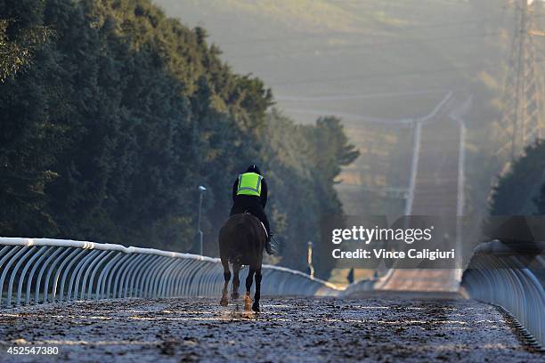 Darren Weir trained galloper makes his way up the 1400 metre straight training track in cold and frosty conditions during Ballarat trackwork at...