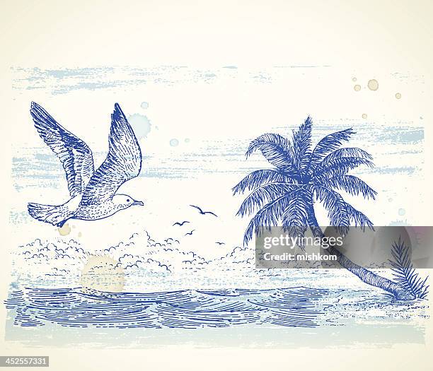 a tropical beach drawing in blue ink - coconut palm tree stock illustrations