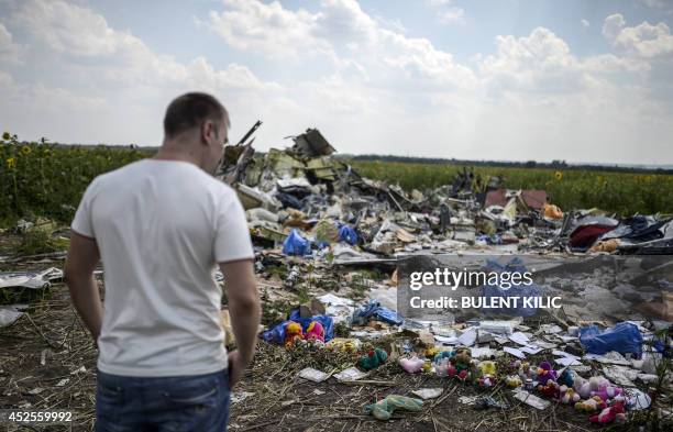 Man looks at the debris scattered at the crash site of the downed Malaysia Airlines flight MH17, in a field near the village of Grabove, in the...