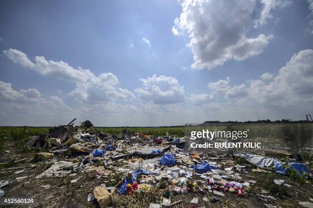 Photo taken on July 23, 2014 shows the crash site of the downed Malaysia Airlines flight MH17, in a field near the village of Grabove, in the Donetsk...