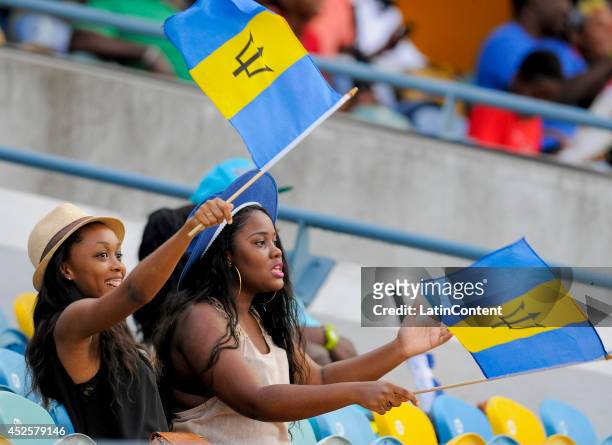 Fans wave the Barbados flag during a match between Barbados Tridents and St. Lucia Zouks as part of the week 3 of Caribbean Premier League 2014 at...