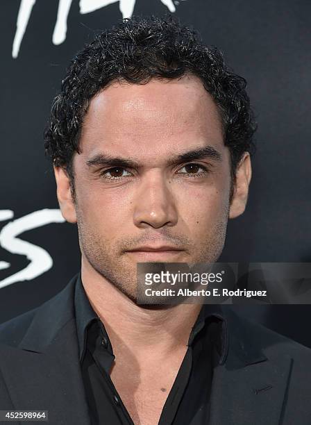Actor Reece Ritchie arrives to the premiere of Paramount Pictures' "Hercules" at the TCL Chinese Theatre on July 23, 2014 in Hollywood, California.