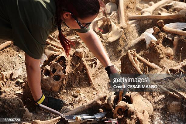 An employee exhumes on Mount Estepar near Burgos on July 24 the remains of people dumped in mass graves over the summer of 1936 during the Spanish...