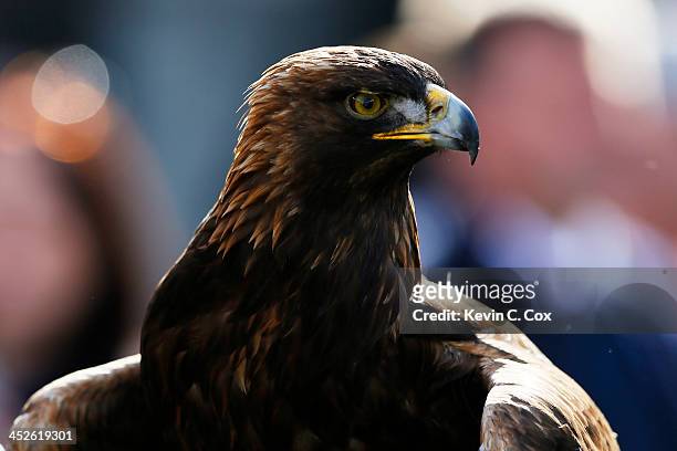 The Auburn Tigers' golden eagle Nova is seen prior to their game against the Alabama Crimson Tide at Jordan-Hare Stadium on November 30, 2013 in...