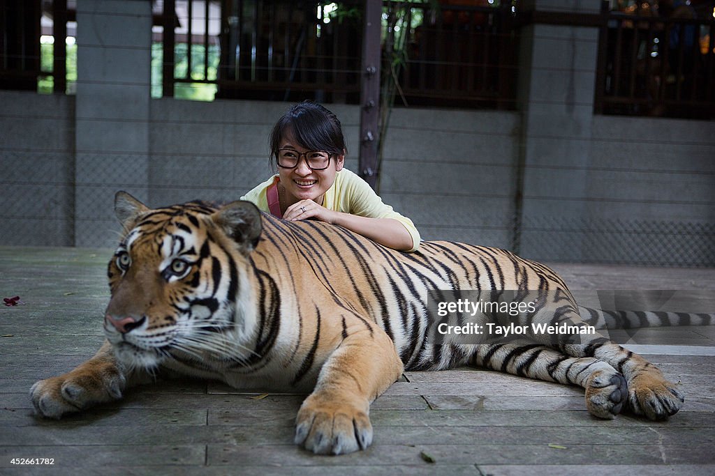 Thailand Waives Chinese Visa Fees In Attempt To Boost Tourism