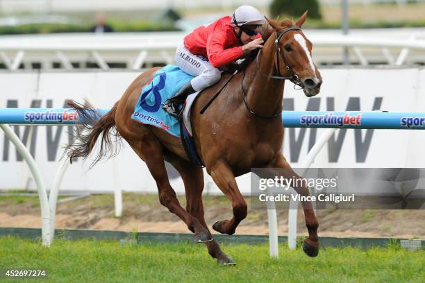 1,625 Michael Rodd Photos & High Res Pictures - Getty Images