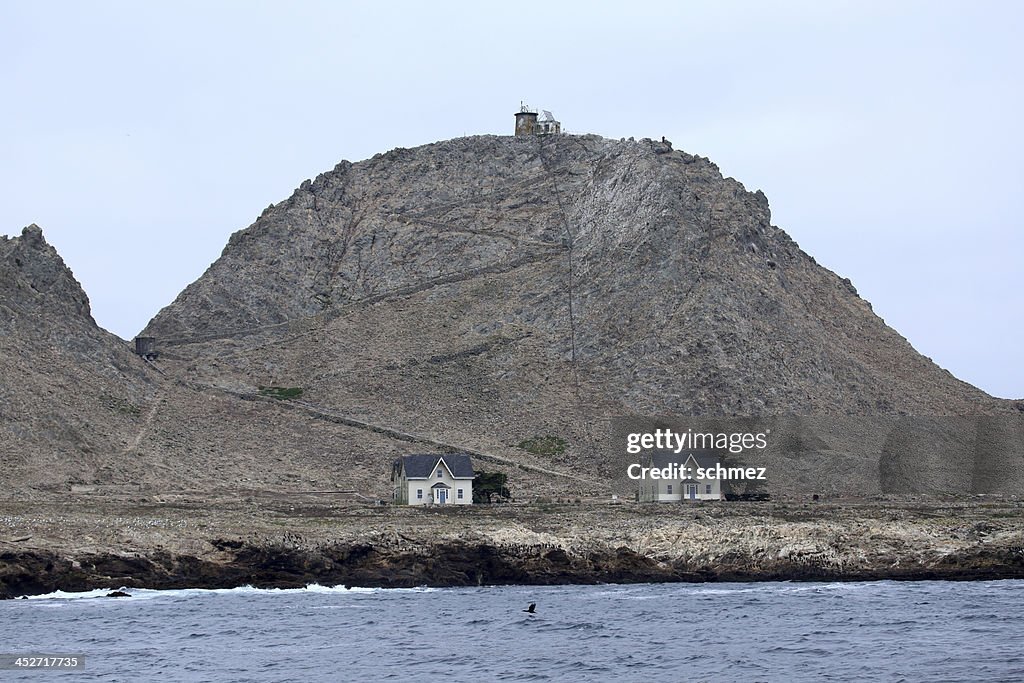 Houses on the Farallon Islands