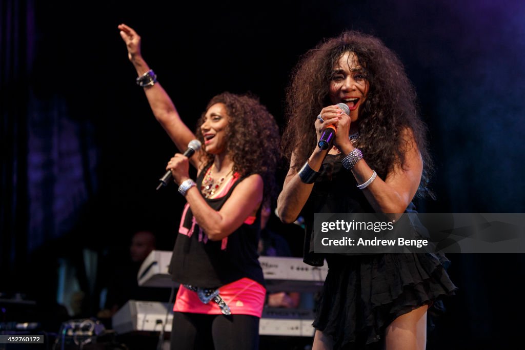 Debbie Sledge and Joni Sledge of Sister Sledge perform on stage at