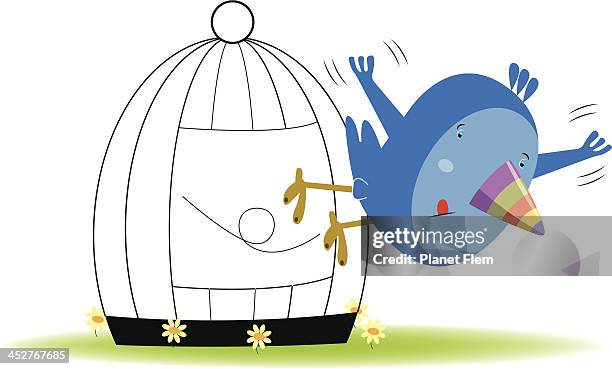 mr. blue bird is escaping! - toucan cage stock illustrations