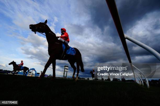 Harry Coffey riding Heza Bargain after Race 8, the Le Pine Funerals Handicap during the Grand National Steeplechase Day at Sportingbet Park on July...