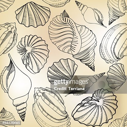 Beach Seashell Pattern High-Res Vector Graphic - Getty Images