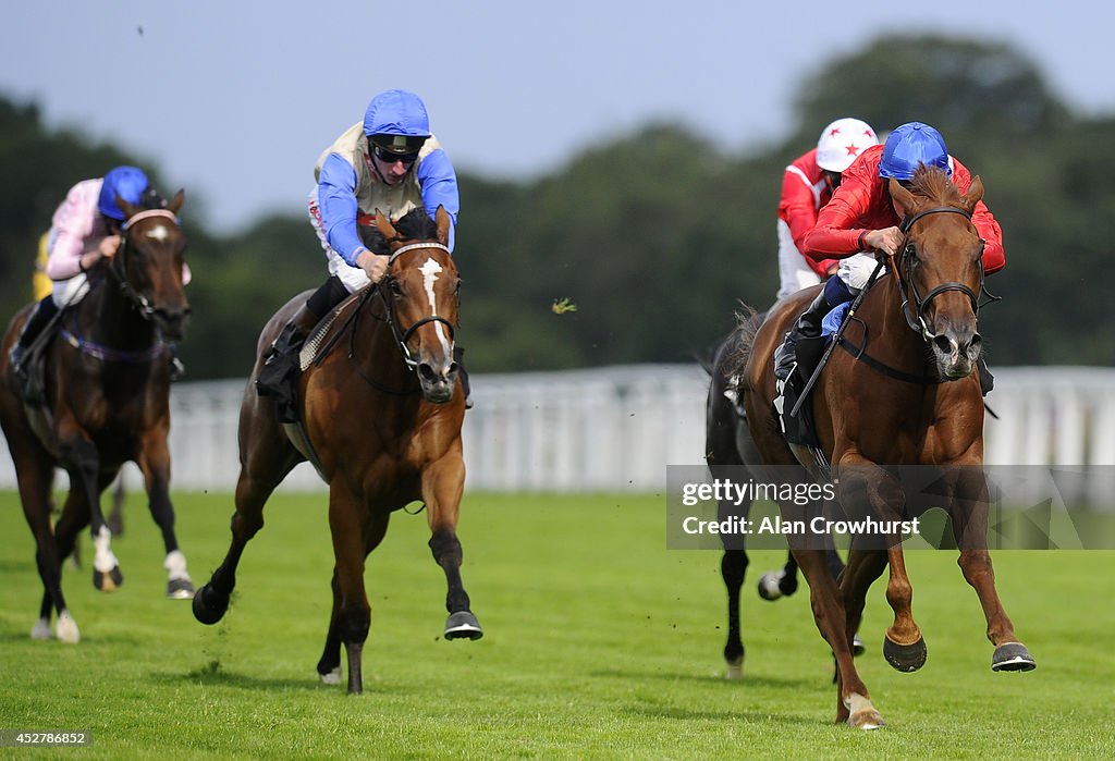 Ascot Races