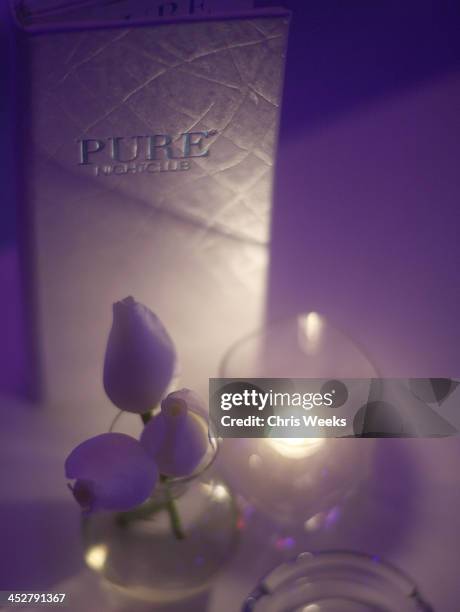 General view of atmosphere is seen at Pure Nightclub on January 16, 2010 in Las Vegas, Nevada.