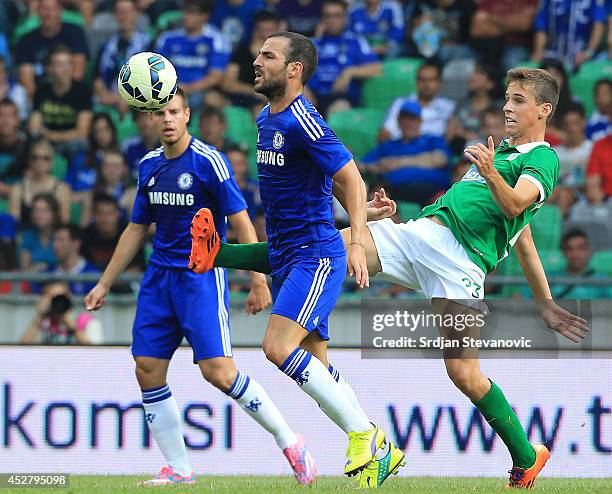 Cesc Fabregas of Chelsea is challenged by Nik Kapunik of Olimpija Ljubljana during the Pre Season Friendly match between FC Olimpija Ljubljana and...