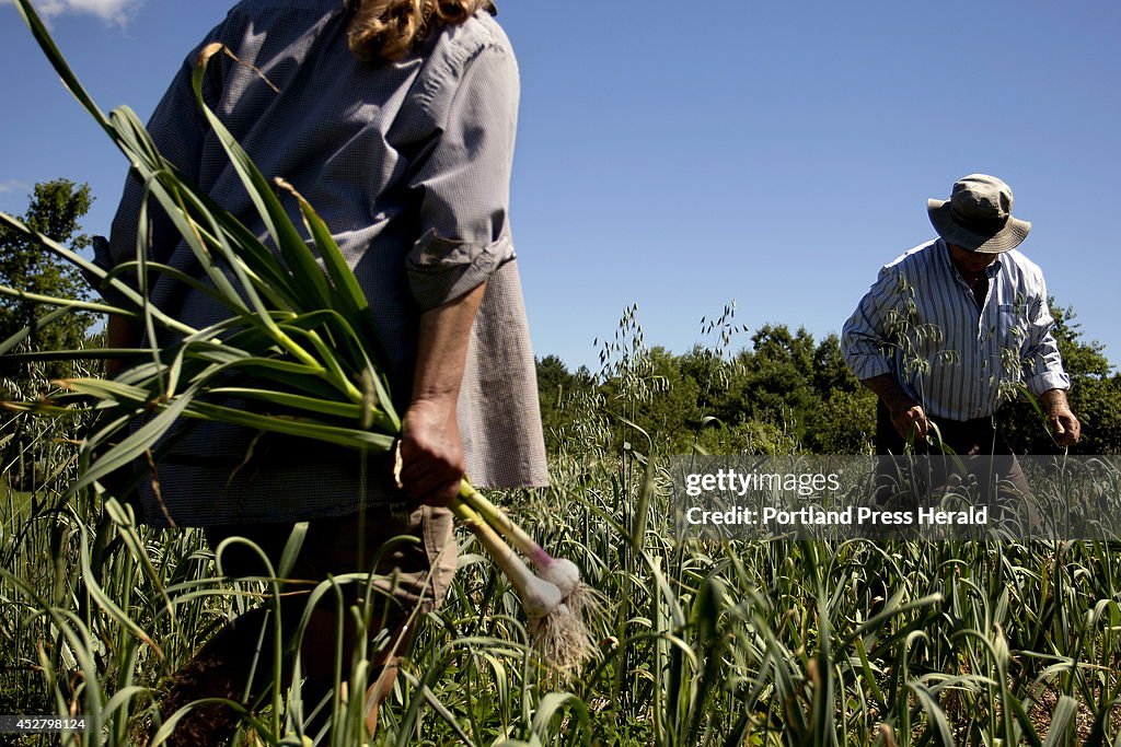 Garlic farmers Roberta Bailey and Robert Lemire