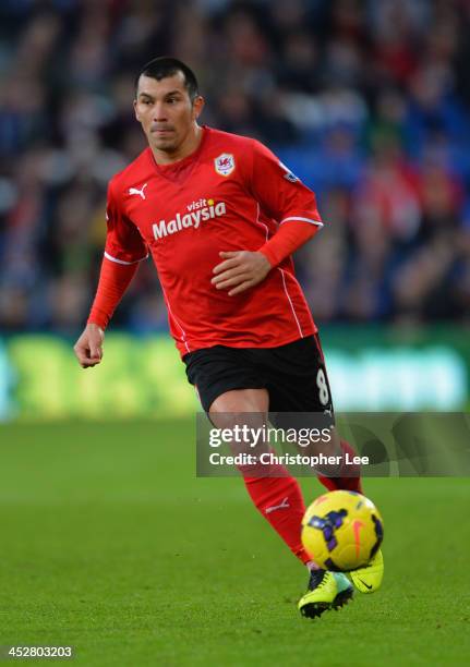 Gary Medel of Cardiff City during the Barclays Premier League match between Cardiff City and Arsenal at Cardiff City Stadium on November 30, 2013 in...