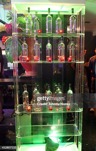 Atmosphere during Damon Dash Filming State Property 2 at Float - March 26, 2004 at Float in New York City, New York, United States.