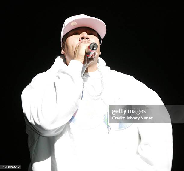 Fat Joe during Nelly, Fat Joe and T.I. In Concert at Madison Square Garden - April 15, 2005 at Madison Square Garden in New York City, New York,...