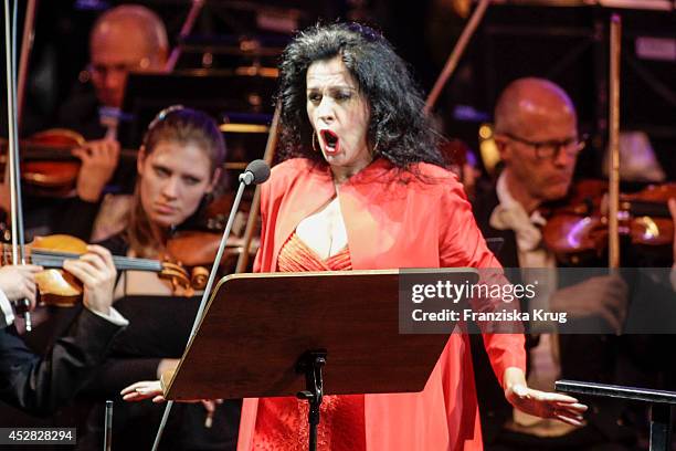 Angela Gheorghiu performs during the Thurn & Taxis Castle Festival 2014 on July 27, 2014 in Regensburg, Germany.