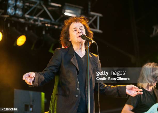 Colin Blunstone of The Zombies performs on stage at Wickerman Festival at Dundrennan on July 26, 2014 in Dumfries, United Kingdom.