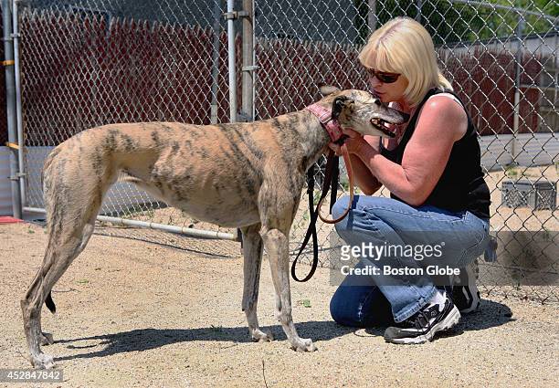 Former greyhound trainer Sandy O'Neil, of Saugus, has adopted former racer Harli. Harli once lived at this kennel in Lynn, owned by John O'Donnell,...
