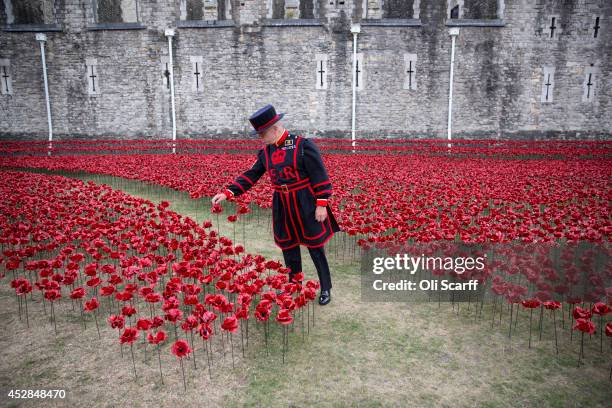 Yeoman Serjeant Bob Loughlin admires a section of an installation entitled 'Blood Swept Lands and Seas of Red' by artist Paul Cummins, made up of...