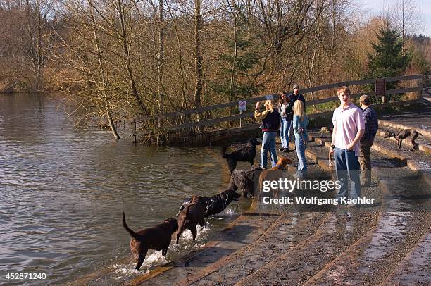 Washington State, Redmond, Marymoor Park, King County Park, Dog Off-leach Area, People With Dogs, Snoqualmie River.