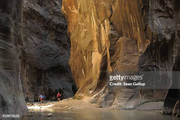 Visitors explore The Narrows along the Virgin River on July 15, 2014 in Zion National Park, Utah. Zion National Park is among the state's biggest...