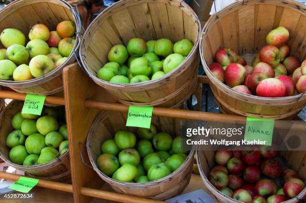 Washington State, Redmond, Farmer's Market, Apples.