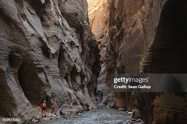 Visitors explore The Narrows along the Virgin River on July 15, 2014 in Zion National Park, Utah. Zion National Park is among the state's biggest...