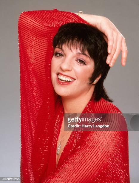 ActressLiza Minnelli poses for a portrait in 1983 in Los Angeles, California.