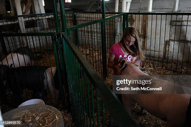 Brittany Duckworth pets her pigs after feeding and caring for them at the Lowell Ranch in Castle Rock, Colorado on July 24, 2014. Duckworth will be...