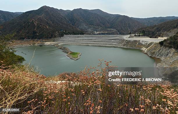 Wildflowers line a hillside looking down onto the San Gabriel Reservoir, or San Gabriel Dam, which provides flood control, groundwater recharge flows...