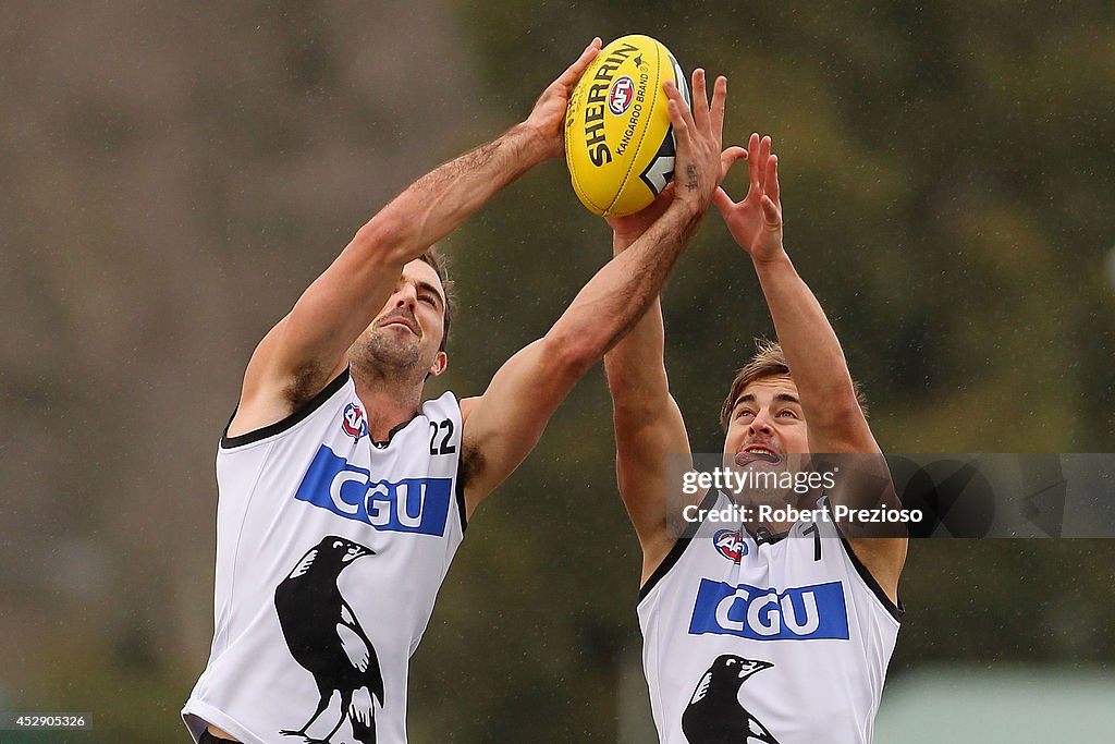 Collingwood Magpies Training Session