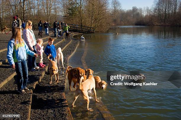 Washington State, Redmond, Marymoor Park, King County Park, Dog Off-leach Area, Peope With Dogs, Snoqualmie River.