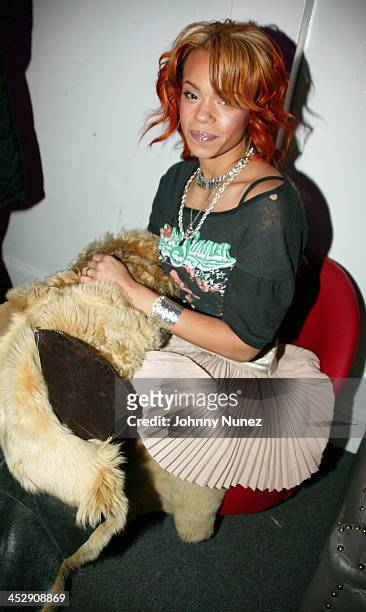 Faith Evans during Power 105 FM's 3rd Anniversary Party Celebrating Notorious B.I.G. At Exit in New York City, New York, United States.